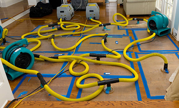 Professional Water Damage Restoration technician working in Bridgeport, PA
